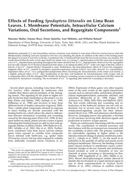 Effects of Feeding Spodoptera Littoralis on Lima Bean Leaves. I