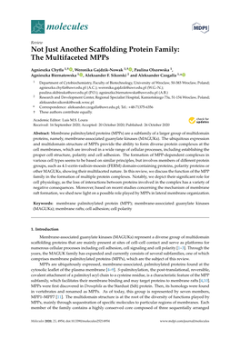 Not Just Another Scaffolding Protein Family: the Multifaceted Mpps