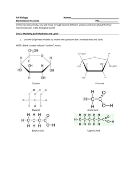 AP Biology Names___Biomolecule Stations Per