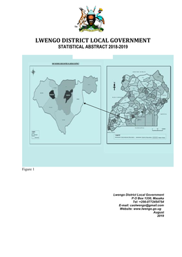 Lwengo District Local Government Statistical Abstract 2018-2019