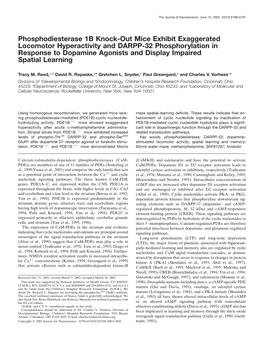 Phosphodiesterase 1B Knock-Out Mice Exhibit Exaggerated Locomotor Hyperactivity and DARPP-32 Phosphorylation in Response to Dopa