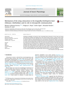 Mechanism of the Wing Colouration in the Dragonfly Zenithoptera Lanei