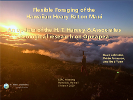 Hawaiian Hoary Bat Habitat