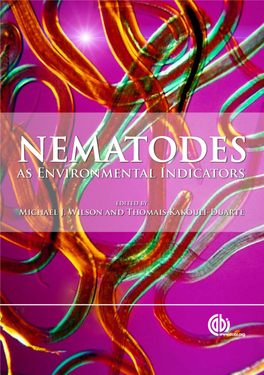 Molecular Markers, Indicator Taxa, and Community Indices: the Issue of Bioindication Accuracy