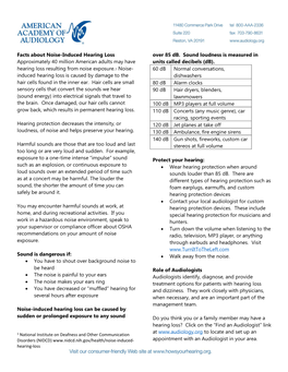 Facts About Noise-Induced Hearing Loss Over 85 Db