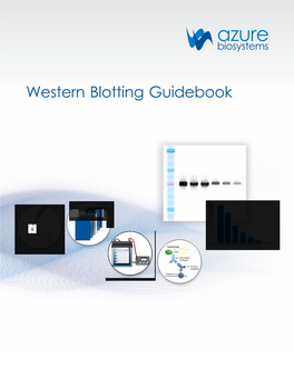 Western Blotting Guidebook