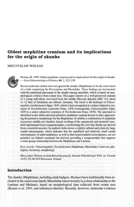 Oldest Mephitine Cranium and Its Implications for the Origin of Skunks