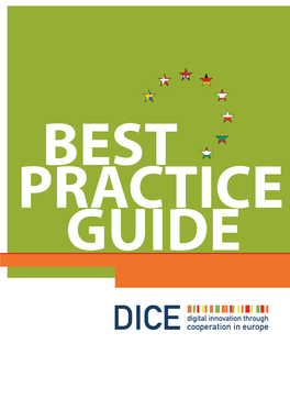 DICE Best Practice Guide.Pdf