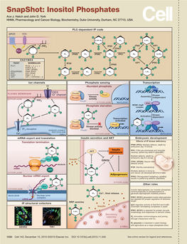 Snapshot: Inositol Phosphates Ace J