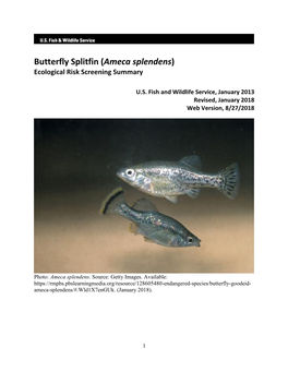 Butterfly Splitfin (Ameca Splendens) Ecological Risk Screening Summary