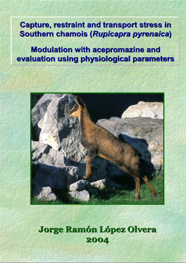 Capture, Restraint and Transport Stress in Southern Chamois (Rupicapra Pyrenaica)