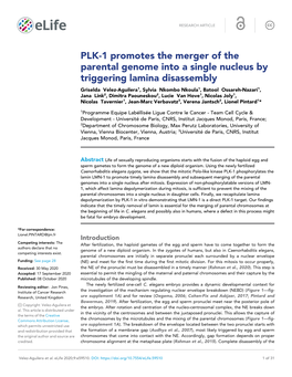 PLK-1 Promotes the Merger of the Parental Genome Into A