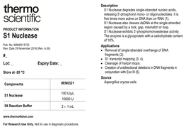 S1 Nuclease Degrades Single-Stranded Nucleic Acids, Releasing 5'-Phosphoryl Mono- Or Oligonucleotides