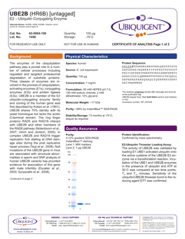 UBE2B (HR6B) [Untagged] E2 – Ubiquitin Conjugating Enzyme