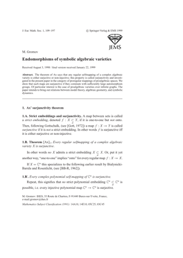 Endomorphisms of Symbolic Algebraic Varieties