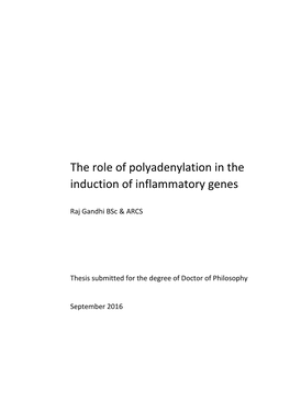 The Role of Polyadenylation in the Induction of Inflammatory Genes