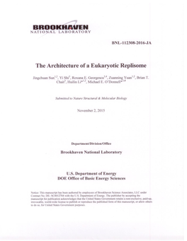 The Architecture of a Eukaryotic Replisome