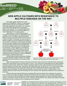 New Apple Cultivars with Resistance to Multiple Diseases on the Way