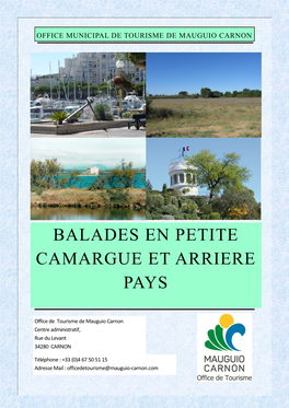 Balades En Petite Camargue Et Arriere Pays