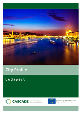 City Profile