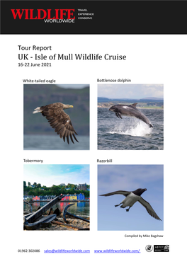 Tour Report UK - Isle of Mull Wildlife Cruise 16-22 June 2021