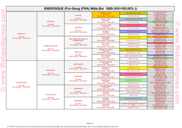 Pur-Sang (FRA) Mâle,Bai 1889 (XX=100.00%