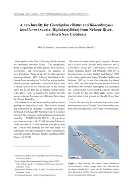 A New Locality for Correlophus Ciliatus and Rhacodactylus Leachianus (Sauria: Diplodactylidae) from Néhoué River, Northern New Caledonia