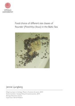 Food Choice of Different Size Classes of Flounder (Platichthys Flesus ) In