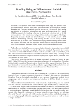 Breeding Biology of Yellow-Browed Antbird Hypocnemis Hypoxantha