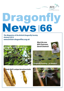 Dragonfly News 66