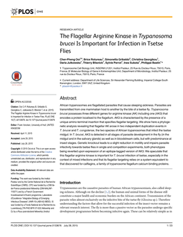 The Flagellar Arginine Kinase in Trypanosoma Brucei Is Important for Infection in Tsetse Flies