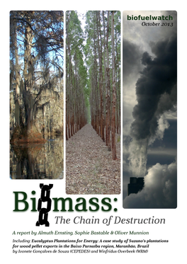 Biofuel: Chain of Destruction