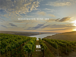 Washington Wine 101 Washington Avas