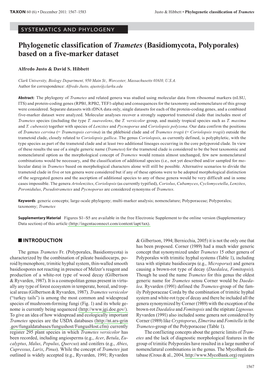 Phylogenetic Classification of Trametes