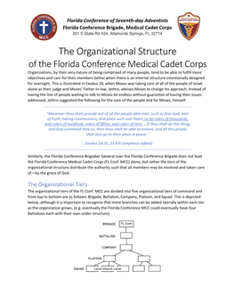 The Organizational Structure