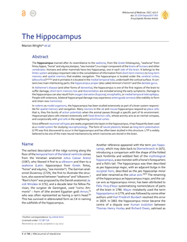 The Hippocampus Marion Wright* Et Al