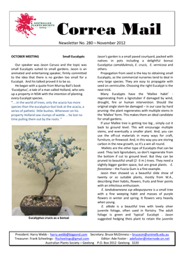 Newsletter No. 280 – November 2012