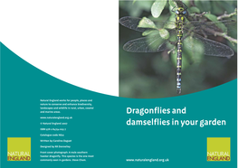 Dragonflies and Damselflies in Your Garden