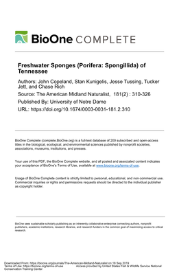 Freshwater Sponges (Porifera: Spongillida) of Tennessee