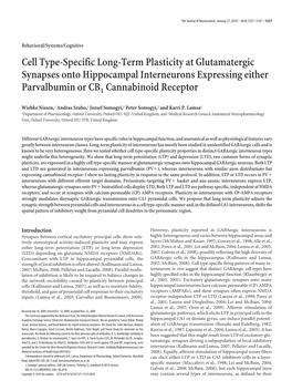 Cell Type-Specific Long-Term Plasticity at Glutamatergic Synapses Onto Hippocampal Interneurons Expressing Either