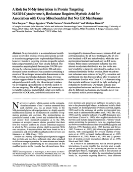 A Role for N-Myristoylation in Protein Targeting