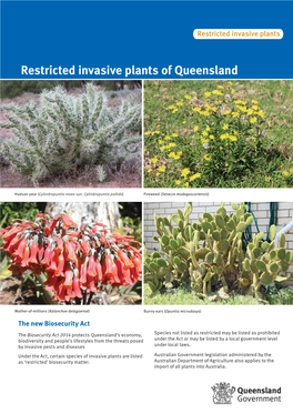 Restricted Invasive Plants of Queensland