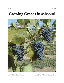 Growing Grapes in Missouri