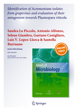 Identification of Acremonium Isolates from Grapevines and Evaluation of Their Antagonism Towards Plasmopara Viticola