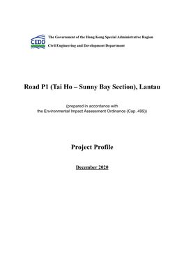 Road P1 (Tai Ho – Sunny Bay Section), Lantau Project Profile