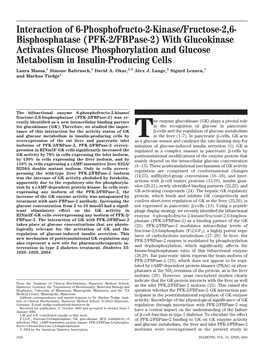 Interaction of 6-Phosphofructo-2-Kinase/Fructose-2,6- Bisphosphatase (PFK-2/Fbpase-2) with Glucokinase Activates Glucose Phospho