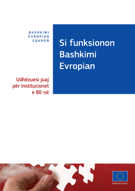 Si Funksionon Bashkimi Evropian