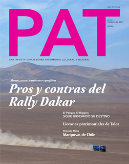 Pros Y Contras Del Rally Dakar
