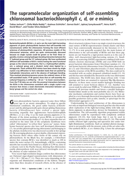 The Supramolecular Organization of Self-Assembling Chlorosomal Bacteriochlorophyll C, D,Ore Mimics