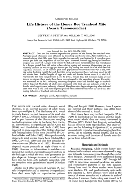 Life History of the Honey Bee Tracheal Mite (Acari: Tarsonemidae)